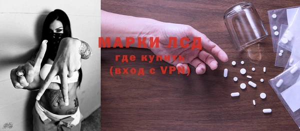 PSILOCYBIN Алзамай