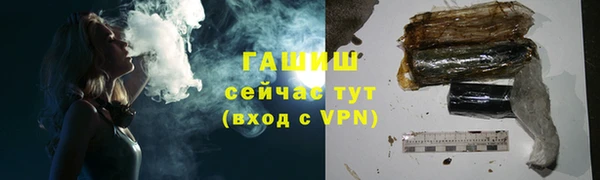 PSILOCYBIN Алзамай