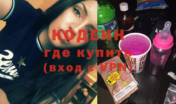 PSILOCYBIN Алзамай