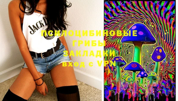 PSILOCYBIN Алзамай