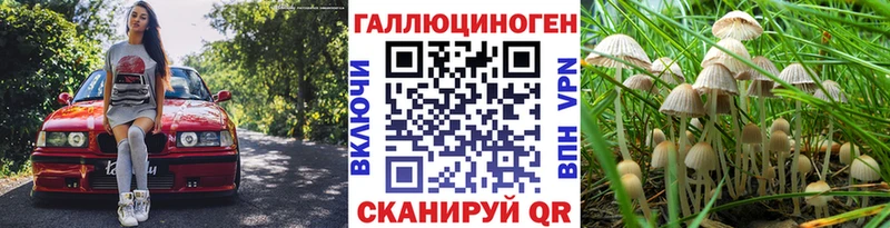 что такое   Карабулак  Галлюциногенные грибы MAGIC MUSHROOMS 